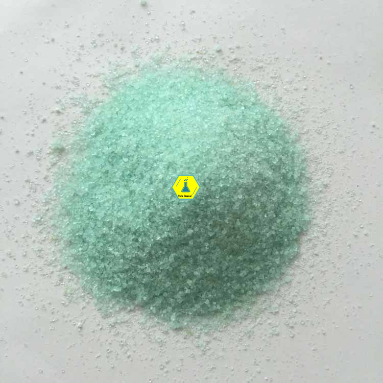 1.jpg1111.jpg 1.jpg1111.jpg